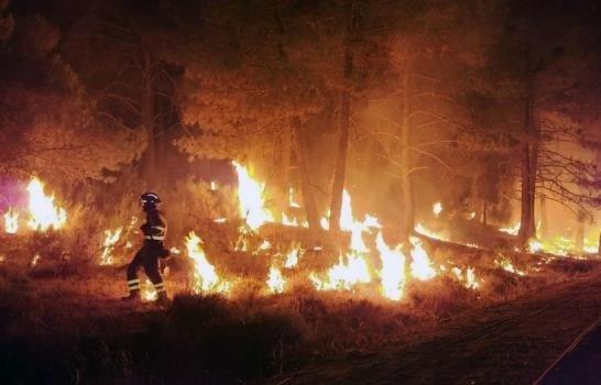 Los bomberos controlan el incendio forestal al norte de República Checa