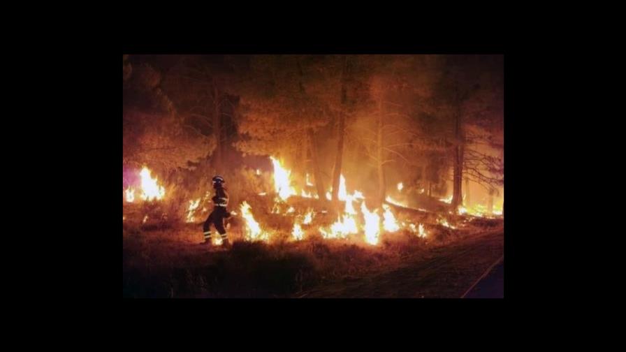 Los bomberos controlan el incendio forestal al norte de República Checa