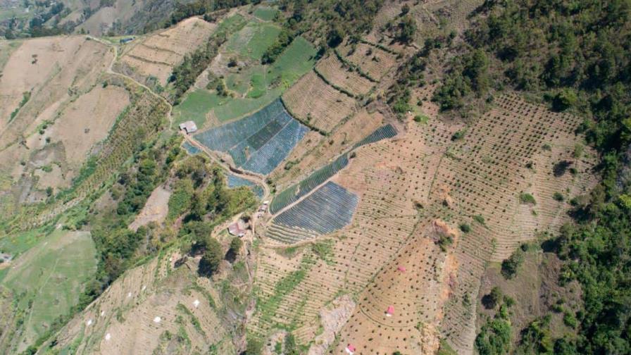 Condenan se “premie” a quienes han hecho daño en Valle Nuevo