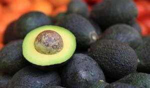 M&eacute;xico exporta primer cargamento de aguacate de Jalisco hacia EEUU