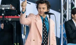 La Universidad de Texas dará un curso de Harry Styles