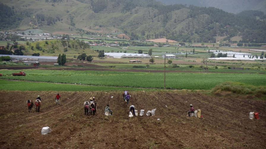 Exportaciones de la Región Norte crecen y el tabaco repunta