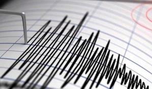 Un sismo de magnitud 4.5 sacude la selva central de Perú