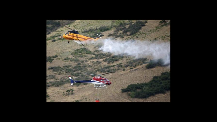 Hombre causa incendio al tratar de quemar araña en EEUU