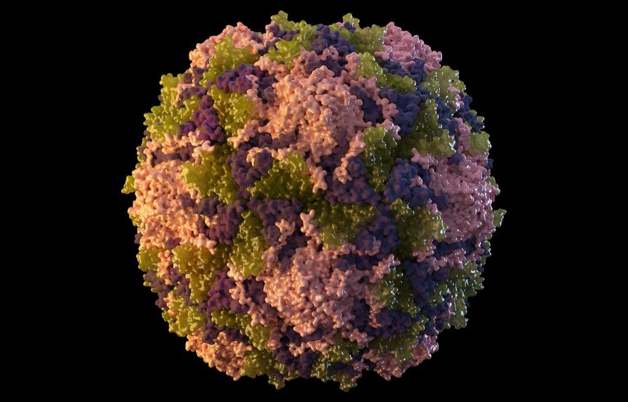 Nueva York detecta virus de polio en aguas residuales