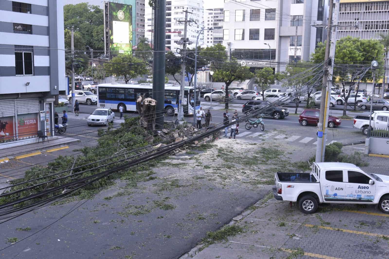 Brigada de la Alcaldía del Distrito Nacional realizan labores de limpieza en la calle Max Henríquez Ureña esquina Winston Churchill.
