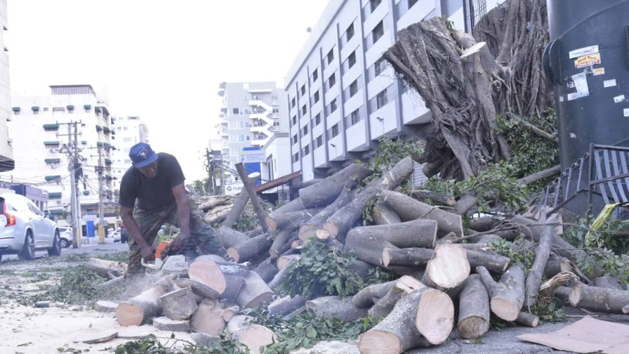 Restablecen tránsito en la calle Max Henríquez Ureña tras caída de árbol
