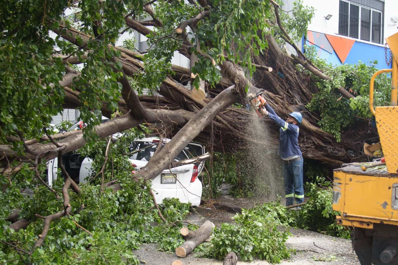 Miembros de brigadas de distintas instituciones trabajan para retirar los escombros de la vía.