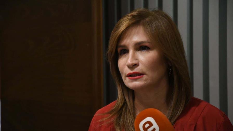 Circe Almánzar valora el crecimiento de la economía dominicana Circe Almánzar valora el crecimiento de la economía dominicana