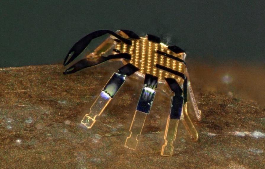 ¡Como Ant-Man! Crearon el robot a control remoto más pequeño del mundo