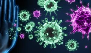 Un mapa de conexiones del sistema inmunitario abre la v&iacute;a a nuevas terapias contra el c&aacute;ncer