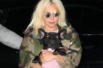 Condenan a cuatro años de cárcel a secuestrador de los perros de Lady Gaga en EEUU