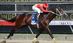 Carreras de este s&aacute;bado en el V Centenario tienen poolpote en 11.4 millones