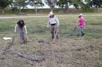 Comienza la ofensiva anual contra las pitones birmanas del sur de Florida Comienza la ofensiva anual contra las pitones birmanas del sur de Florida