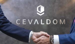 Siete preguntas sobre el rol de Cevaldom en el mercado de valores dominicano