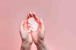 Clínicas apelarán al Supremo de Florida la restricción del aborto Clínicas apelarán al Supremo de Florida la restricción del aborto