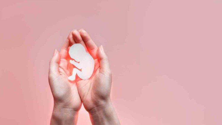 Lanzan campaña millonaria de apoyo al derecho al aborto en legislativas EEUU