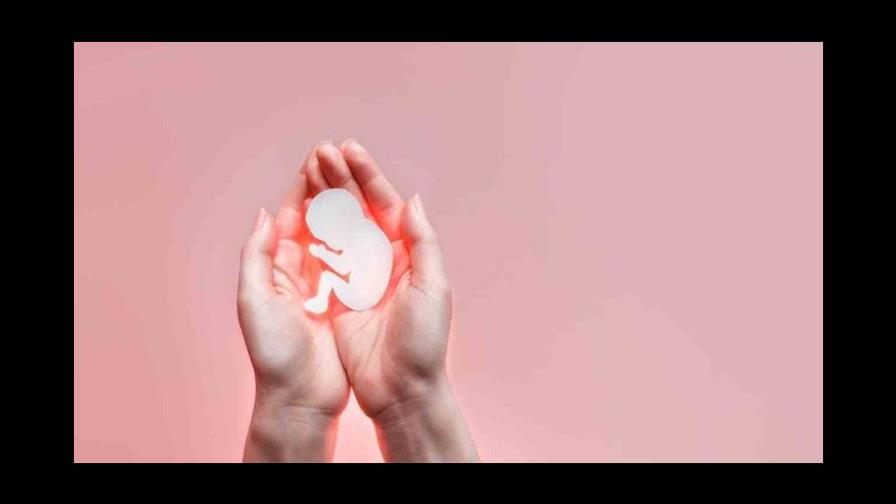 Lanzan campaña millonaria de apoyo al derecho al aborto en legislativas EEUU