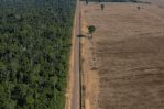 Deforestación en Amazonía brasileña se reduce en julio, pero sigue elevada