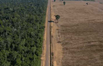 Deforestación en Amazonía brasileña se reduce en julio, pero sigue elevada