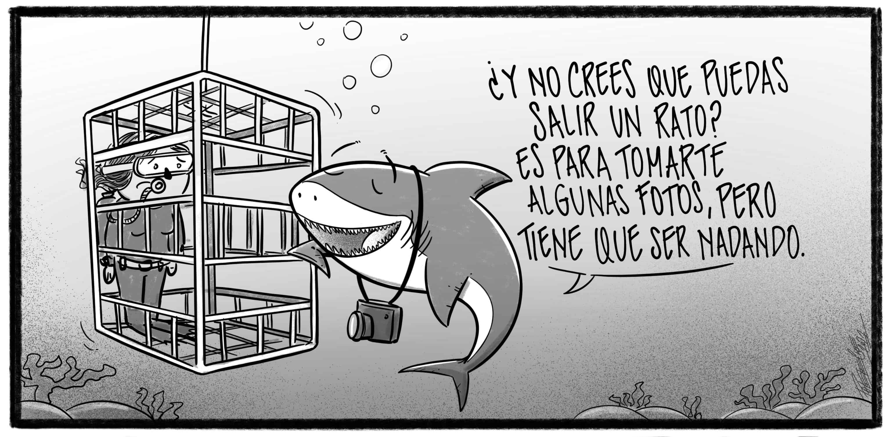 Caricatura de Noticiero Poteleche 10 agosto 2022