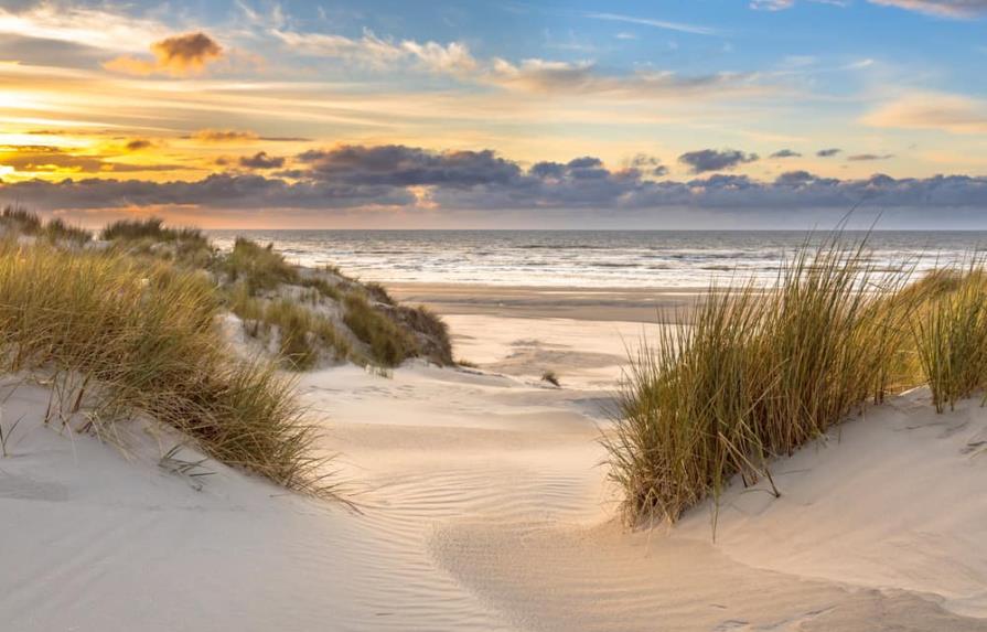 Un hombre muere enterrado por una duna en una playa de Florida