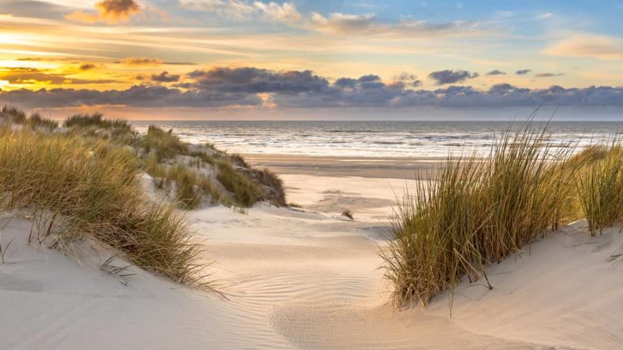 Un hombre muere enterrado por una duna en una playa de Florida Un hombre muere enterrado por una duna en una playa de Florida