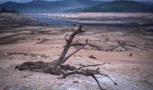 El cambio climático puede agravar más del 50% de las enfermedades infecciosas