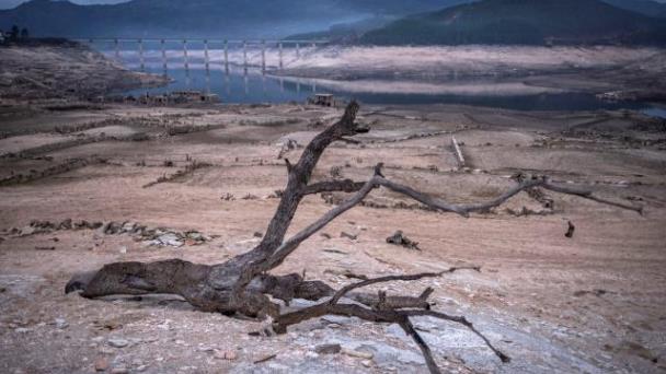 El cambio climático puede agravar más del 50% de las enfermedades infecciosas