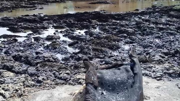 El incendio en la zona industrial en Cuba deja una imagen desoladora
