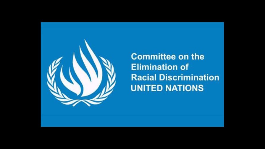 Comité de la ONU examina esfuerzos de EEUU para combatir racismo Comité de la ONU examina esfuerzos de EEUU para combatir racismo