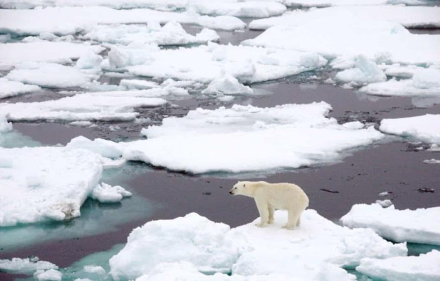 El Ártico se ha calentado casi cuatro veces más rápido que el planeta