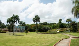 Jardín Botánico: un espacio para el disfrute, la educación ambiental e investigación científica