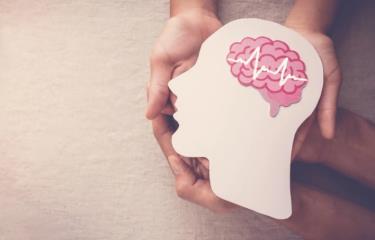 memoria-548f41c2-focus-0-0-375-240