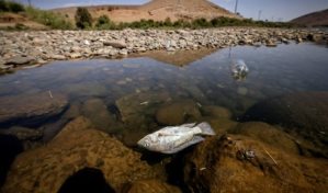 Lágrimas y fatalismo frente a la escasez de agua en un remoto pueblo marroquí