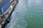 Continúa limpieza en aguas del puerto de Miami por derrame de combustible Continúa limpieza en aguas del puerto de Miami por derrame de combustible
