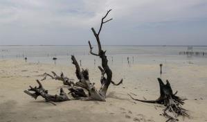 La pequeña isla de Indonesia que se enfrenta a Holcim para no hundirse