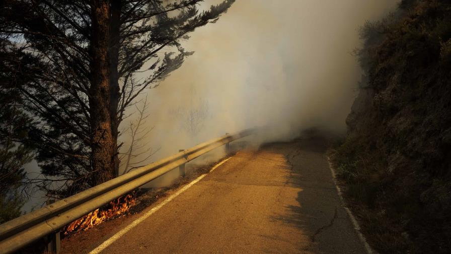 España: 10 heridos al salir de un tren detenido por incendio