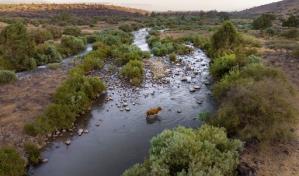 El r&iacute;o Jord&aacute;n, rico en santidad, pobre en agua