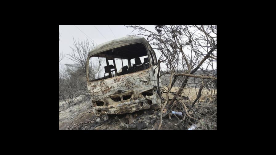 Incendios forestales en Argelia matan a 37