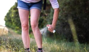 &iquest;Enga&ntilde;ar a los mosquitos para que no piquen? Su gran olfato lo pone dif&iacute;cil