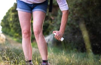 ¿Engañar a los mosquitos para que no piquen? Su gran olfato lo pone difícil