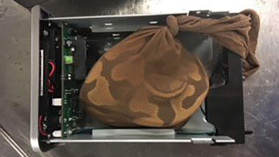 Detienen a un hombre con 17 animales en sus maletas en aeropuerto de Tailandia