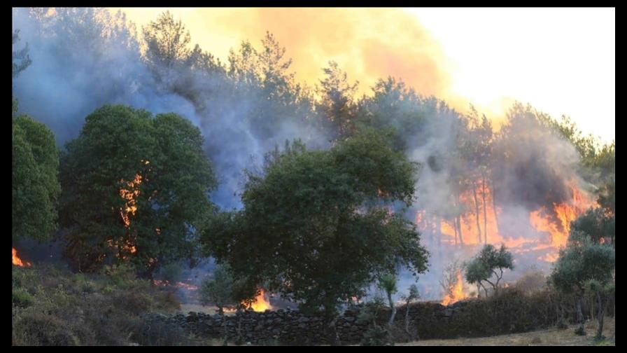 Aumenta a 43 el balance de fallecidos por los incendios en el norte de Argelia