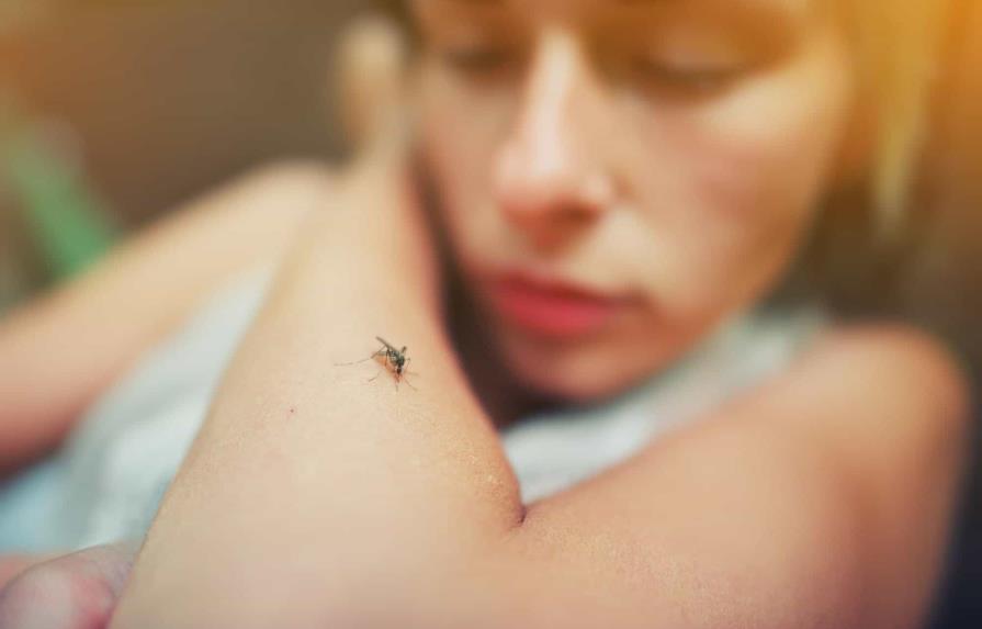 ¿Se puede engañar a los mosquitos para que no piquen? Un estudio responde