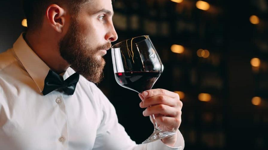 Vinos Majestic pagará 240 dólares al día por viajar y tomar vino