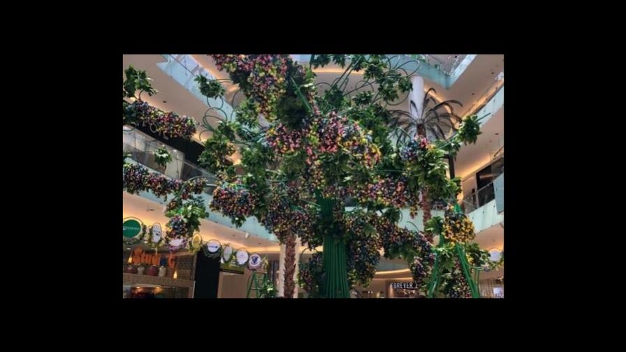 Regresa el Árbol de la Esperanza de Ágora Mall