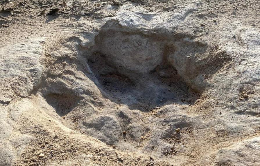 La sequía en un parque estatal de Texas, deja al descubierto huellas de dinosaurios de hace 113 millones de años