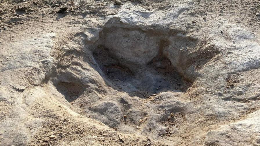 La sequía en un parque estatal de Texas, deja al descubierto huellas de dinosaurios de hace 113 millones de años