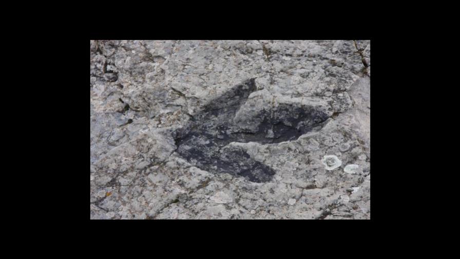 Desde huellas de dinosaurios hasta restos de guerra mundial hallados por sequía de ríos